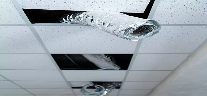 Affordable HVAC Sanitizing After Pest Removal in Menlo Park