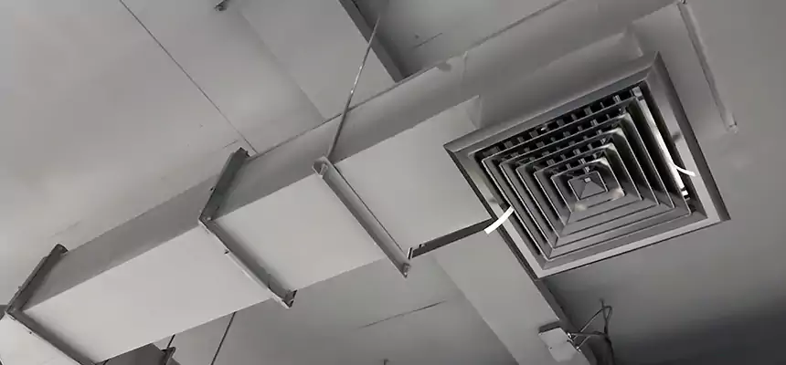 Our Rodent Droppings In Vents Services in Menlo Park, CA