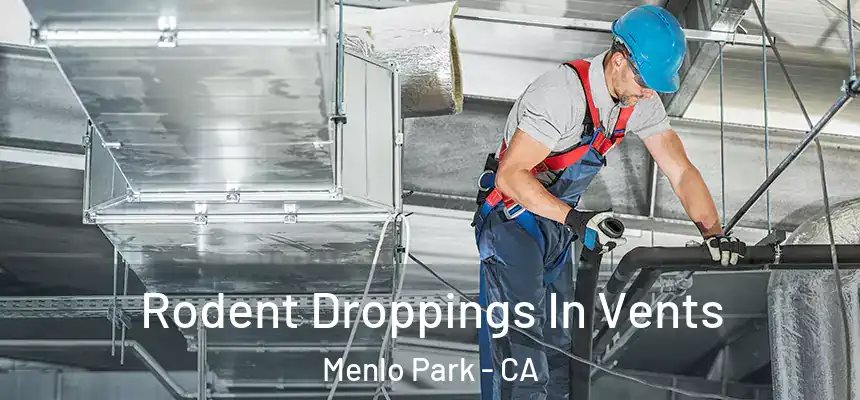  Rodent Droppings In Vents Menlo Park - CA