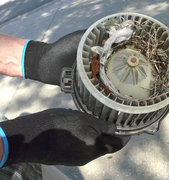 About Air Duct Mice Removal in Menlo Park, CA