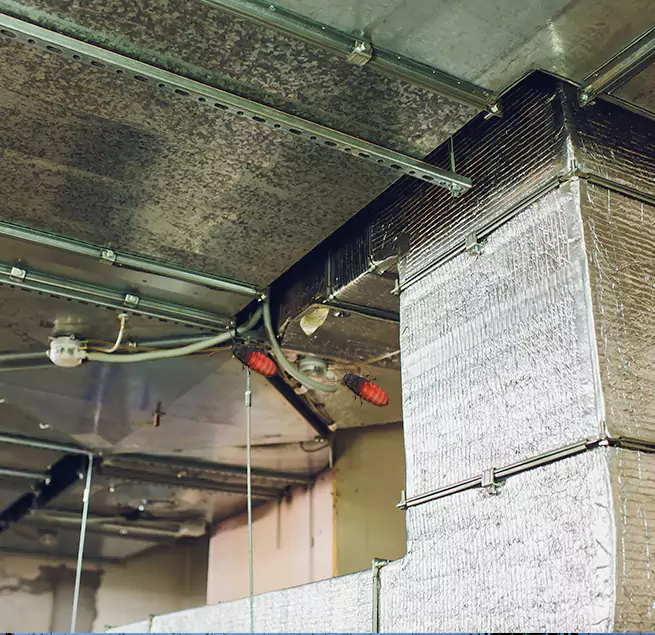 Why Homeowners & Businesses Trust Us in Menlo Park, CA?