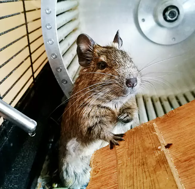 Why Homeowners & Businesses Trust Us Menlo Park, CA?