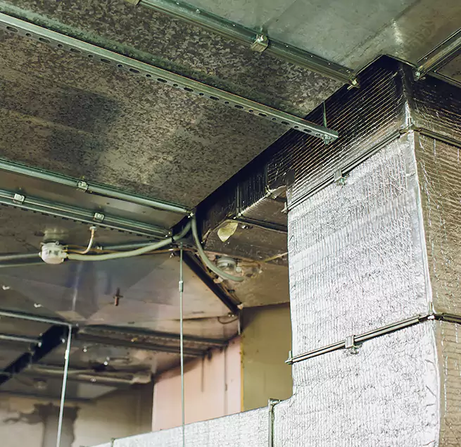 Why Homeowners & Businesses Trust Us in Menlo Park, CA?